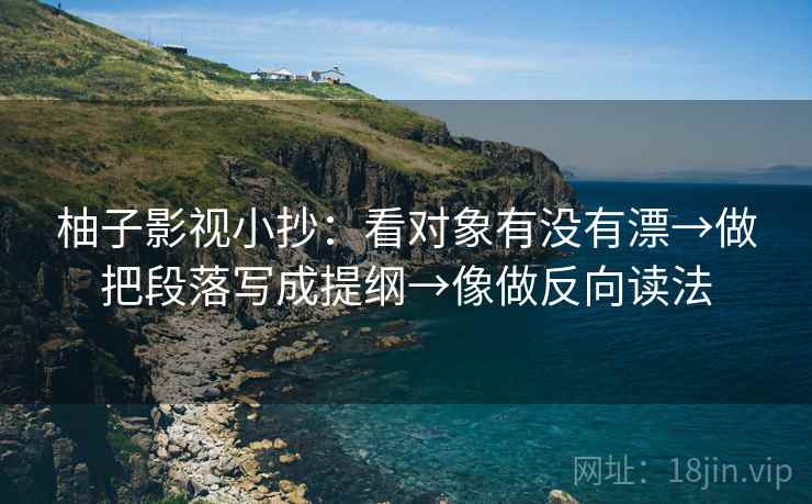 柚子影视小抄：看对象有没有漂→做把段落写成提纲→像做反向读法  第2张