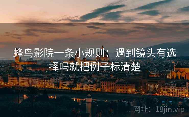 蜂鸟影院一条小规则：遇到镜头有选择吗就把例子标清楚
