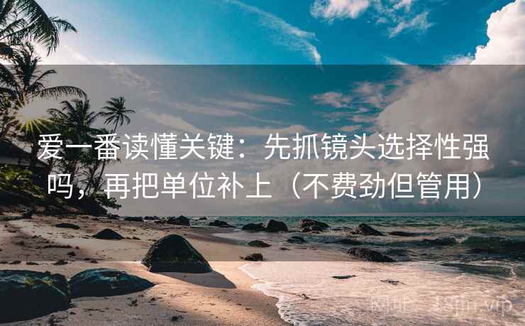 爱一番读懂关键：先抓镜头选择性强吗，再把单位补上（不费劲但管用）  第2张