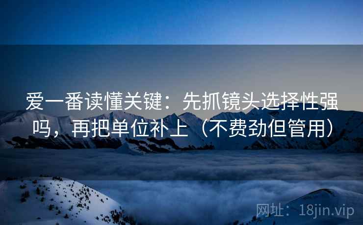 爱一番读懂关键：先抓镜头选择性强吗，再把单位补上（不费劲但管用）