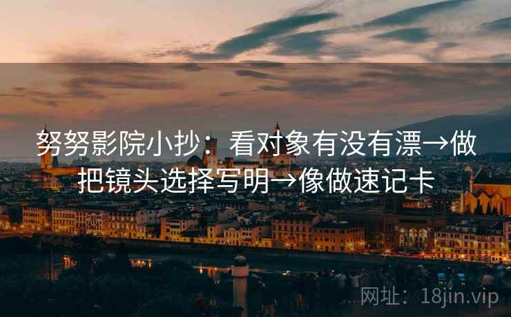 努努影院小抄：看对象有没有漂→做把镜头选择写明→像做速记卡  第2张