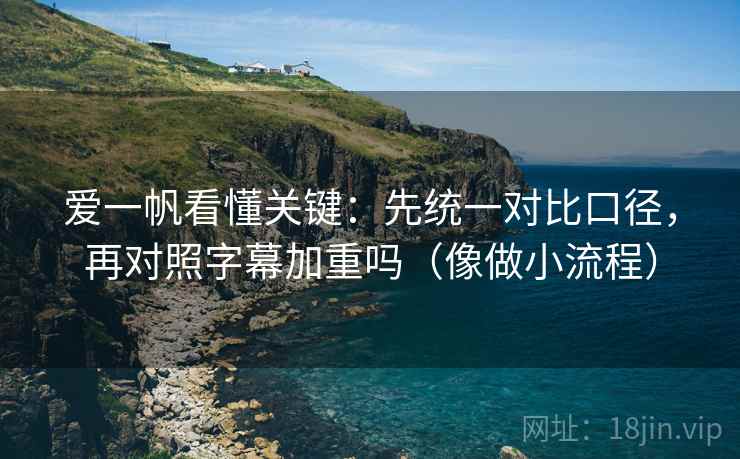 爱一帆看懂关键：先统一对比口径，再对照字幕加重吗（像做小流程）  第2张